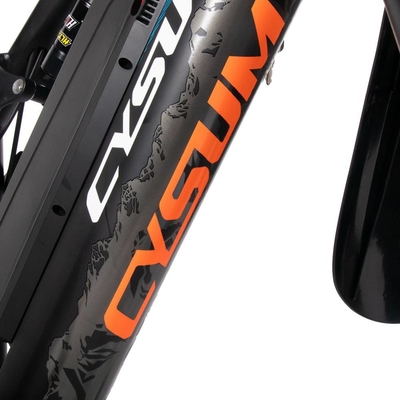US EU STOCK Cysm M-900 Cruiser Fat Tire Electric Bike Fat Tyre Electric Bicycle 750W 50kmh 170mm