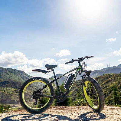 Specialized Women'S Fat Tire Electric Bike 1000w 17Ah CYSUM M980