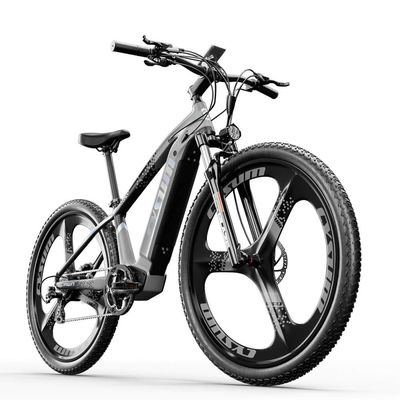 US EU STOCK Mtb Women'S Electric City Bike Road 48v 500w 14Ah Aluminum One Integrated Motor