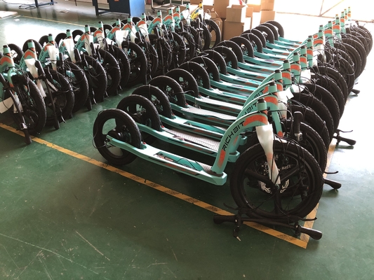 16 Inch Electric Scooter Cycle Adult Bike Front 20 Inch Rear Big Tyre 36v 10Ah