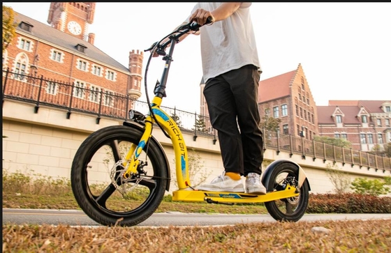 Rich Bit H100 Big Wheel E Scooter 350w Electric Scooter Bicycle Front 16" 20" Rear 36v