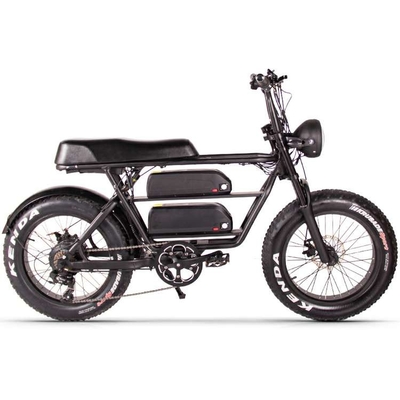 20 Inch Folding Fat Tire Electric Bike 1000w 750 Watt 500w 9.6Ah 40kmh Two Batteries