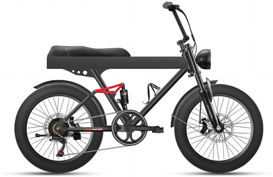 500w 9.6Ah 40kmh 20 Inch Fat Tire Ebike Bicycle Cargo Double Batteries Folding