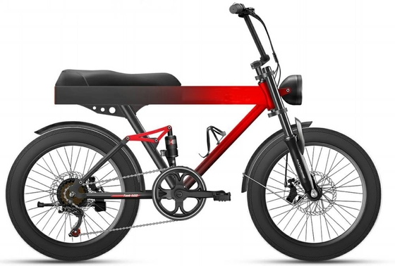 500w 9.6Ah 40kmh 20 Inch Fat Tire Ebike Bicycle Cargo Double Batteries Folding