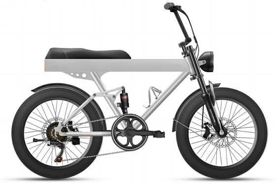 500w 9.6Ah 40kmh 20 Inch Fat Tire Ebike Bicycle Cargo Double Batteries Folding