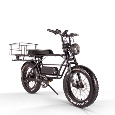 20 Inch Folding Fat Tire Electric Bike 1000w 750 Watt 500w 9.6Ah 40kmh Two Batteries