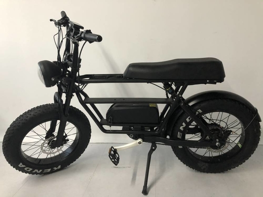 500w 9.6Ah 40kmh 20 Inch Fat Tire Ebike Bicycle Cargo Double Batteries Folding