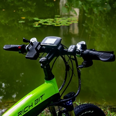 Small Lightweight Fold Up Electric Bike Lunar Shape 36v 250w 9.6ah RICH BIT Top-880