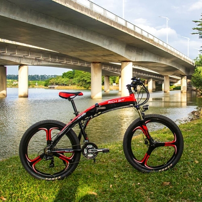 Folding Lightweight Electric Bike Lunar Shape For Ladies 36v 250w 9.6ah