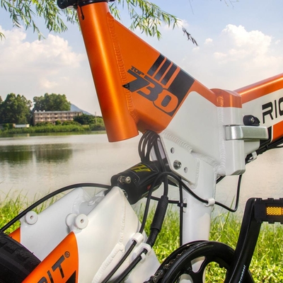 Mtb Full Suspension Mountain Electric Bikes Built In Lithium Battery Rich Bit Electric Bicycle