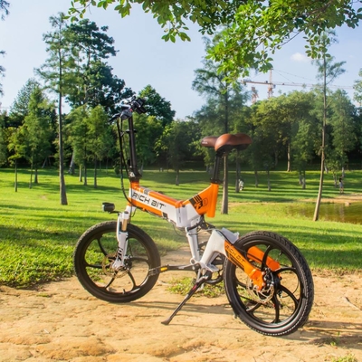 Full Suspention MTB Electric City Bike 48v 250w Lithium Battery Rich Bit 730