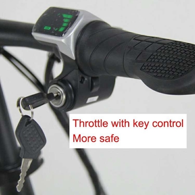 Green Power Electric Folding Bike Lithium Hidden Battery Rich Bit Top-618