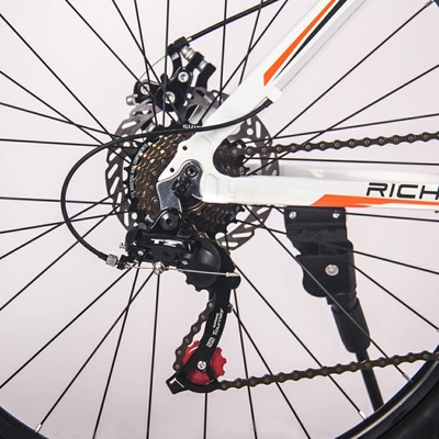 26 Inch Electric Bicycle Lightweight Ebike Mtb Rear Drive 36v 350w 10Ah RICH BIT 006
