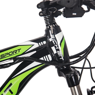 26 Inch Rich Bit Electric Bike Mountain Snow Ebike Wide Tire Rear Hub 36v 350w 10Ah