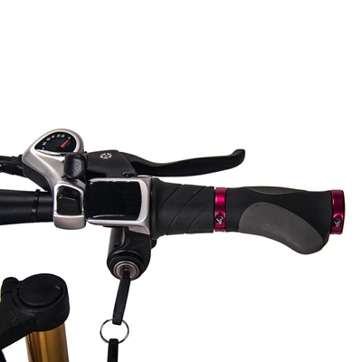 Folding Electric Bike Full Suspension Fat Tire 350w 48v RICH BIT 018