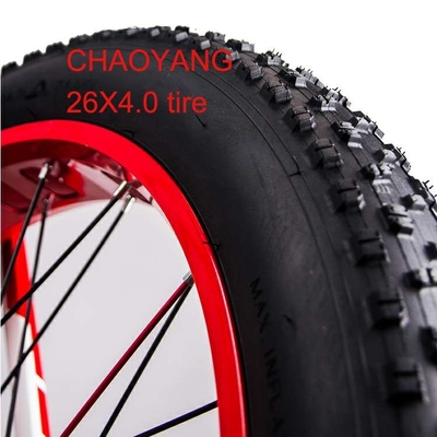 Full Suspension Fat Tire E Bike Folding Electric Mountain 350w 48v RICH BIT 018