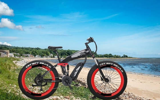 Lightest Full Suspension Ebike Mountain Bike 26 Inch 350W Downtube Lithium Battery 48v