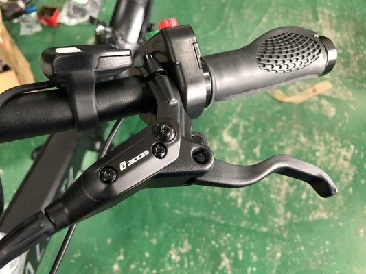 20 Fat Tire Folding Electric Bike Lightweight Citizen 20X4.0 48v 500w 13Ah RICH BIT 014