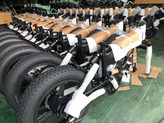 Top 014 Lithium Battery Foldable Electric Bike 20inch For Adults 48v 500w