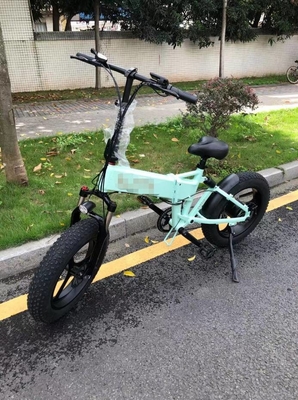 Top 014 Lithium Battery Foldable Electric Bike 20inch For Adults 48v 500w