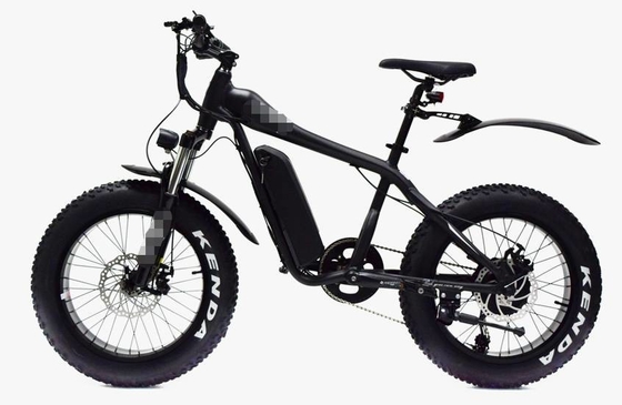 20In Fat Wheel E Bike 17Ah Big Lithium Battery Cysm Ebike
