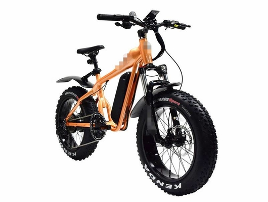 20 Fat Tyre Ebike 1000w 500w 17Ah Big Fat Wheel Electric Bicycle
