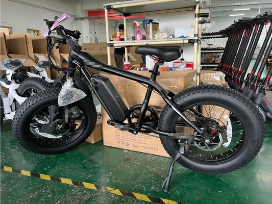 20In Fat Wheel E Bike 17Ah Big Lithium Battery Cysm Ebike
