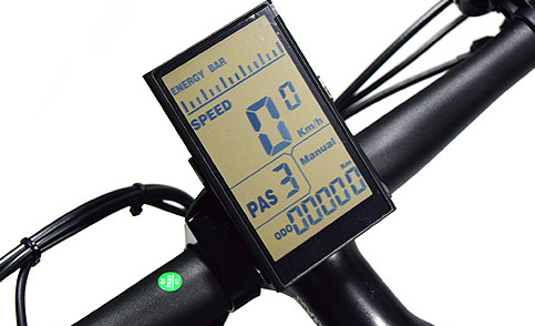 20In Fat Wheel E Bike 17Ah Big Lithium Battery Cysm Ebike