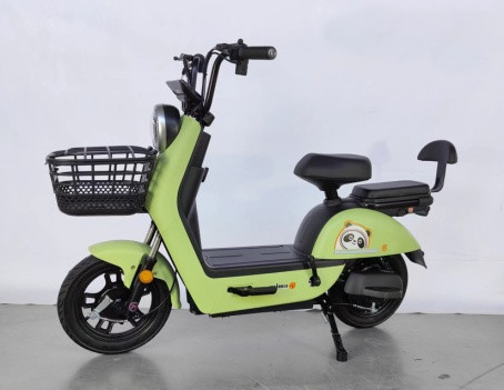 14 Inch Two Wheel Electric Scooter Cycle Lead Acid Storage Battery 48v 20Ah