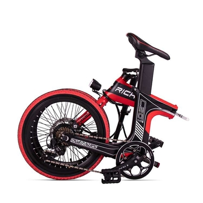 Mini Portable Multifunctional Folding Electric Bicycle Lightweight Foldable Ebike 48v 250w