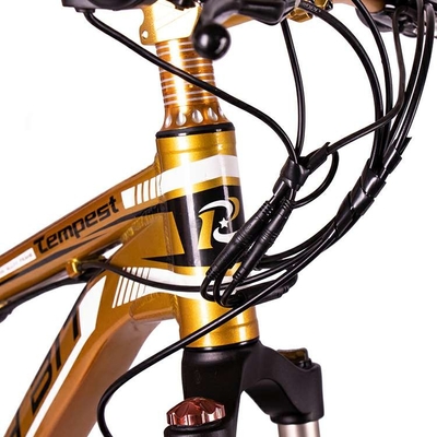 1000w Fat Tire Electric Bike Carrier Rear 17Ah Aluminum Frame Hardtail