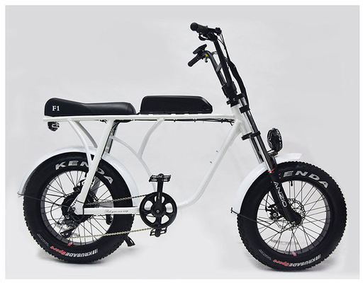 20" Big Tire High Power Ebikes Torque Sensor Fat Tire Snow 36v 10ah 350w BAFANG