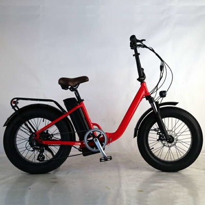 OEM Logo Low Step Cargo EU202 20 Inch Fat Tire Electric Bicycle 48v 500w 13Ah