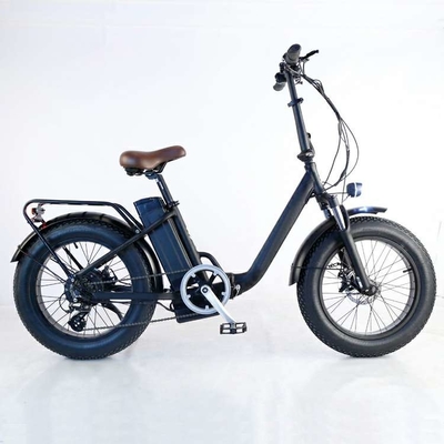 OEM Logo Low Step Cargo EU202 20 Inch Fat Tire Electric Bicycle 48v 500w 13Ah