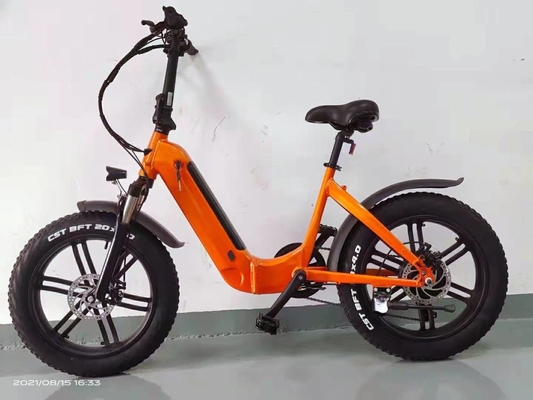 OEM Logo Low Step Cargo EU202 20 Inch Fat Tire Electric Bicycle 48v 500w 13Ah