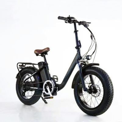 OEM logo Step Through 20 Inch Fat Tire Electric Bicycle For Women Outdoor Travel