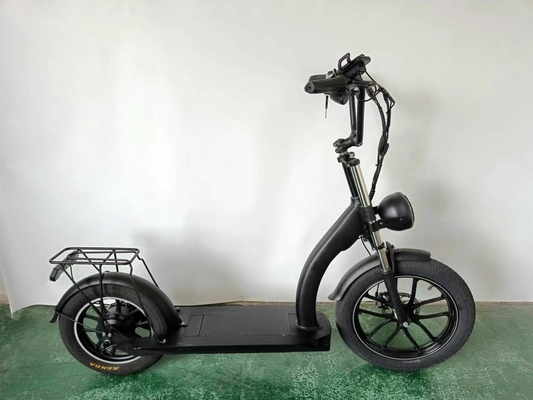 Richbit H200 Fat Electric Scooter Cycle 1000w 48v 16ah 20x3.0 Inch