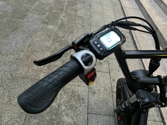 Richbit H200 Fat Electric Scooter Cycle 1000w 48v 16ah 20x3.0 Inch