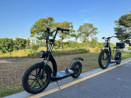 Richbit H300 Fat Electric Scooter Cycle High Speed 50km/H 1000w 48v 16ah 26x4.0 Inch