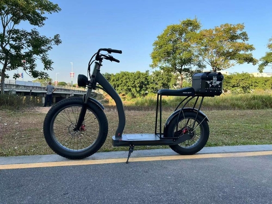 Richbit H300 Fat Electric Scooter Cycle High Speed 50km/H 1000w 48v 16ah 26x4.0 Inch