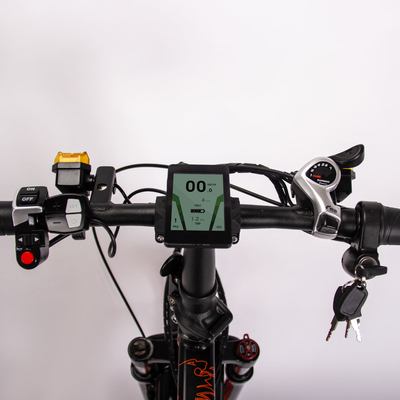 500W 20 Inch Fat Tire Ebike Foldable For Adults RICH BIT TOP-016