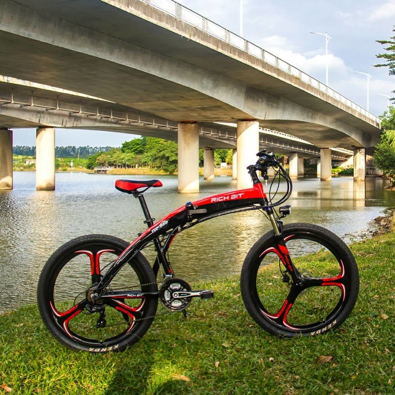 Folding Lightweight Electric Bike Lunar Shape For Ladies 36v 250w 9.6ah