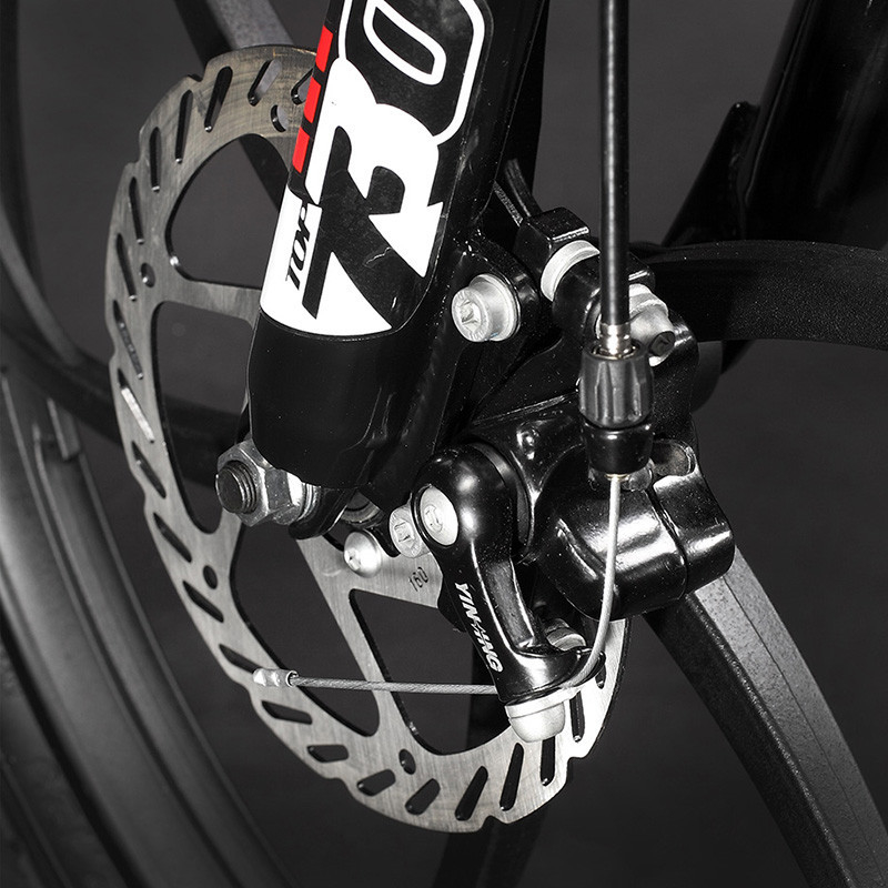 Full Suspention MTB Electric City Bike 48v 250w Lithium Battery Rich Bit 730