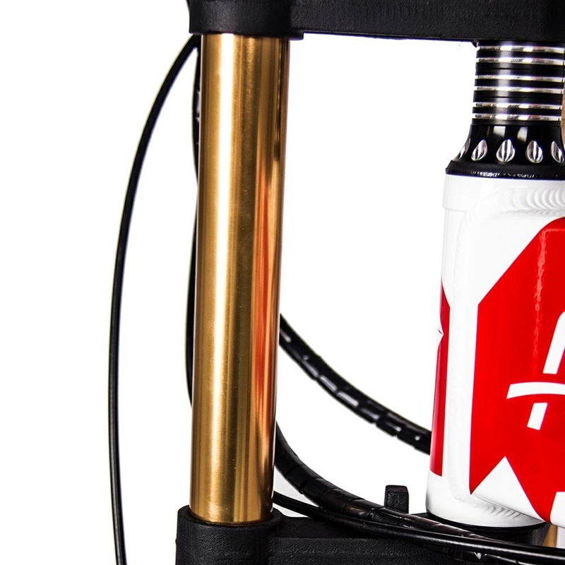 Full Suspension Fat Tire E Bike Folding Electric Mountain 350w 48v RICH BIT 018