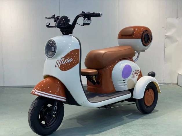Fat Tyre Electric Scooter Tricycle 14 Inch 48v 500w 20Ah Electric Chariot Scooter