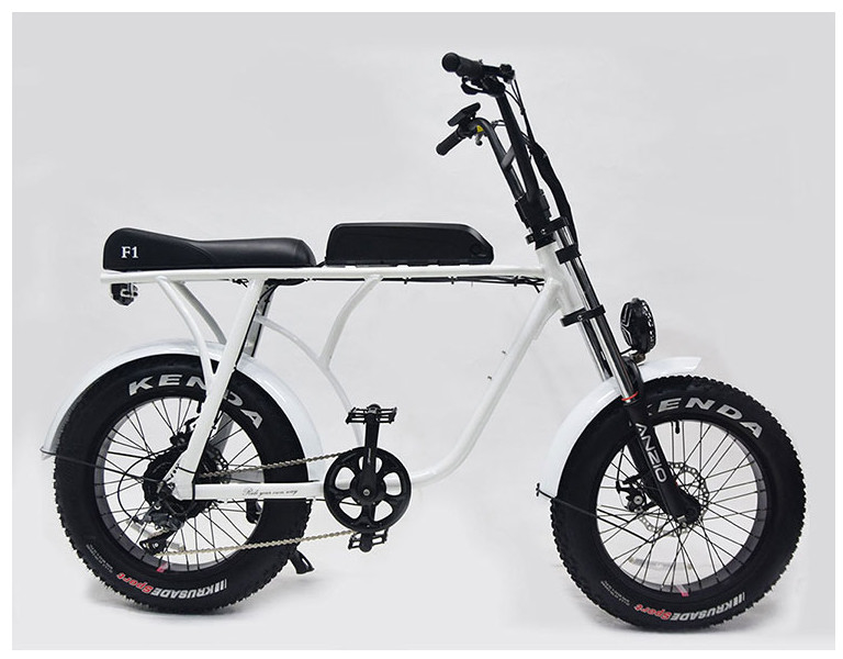 20" Big Tire High Power Ebikes Torque Sensor Fat Tire Snow 36v 10ah 350w BAFANG