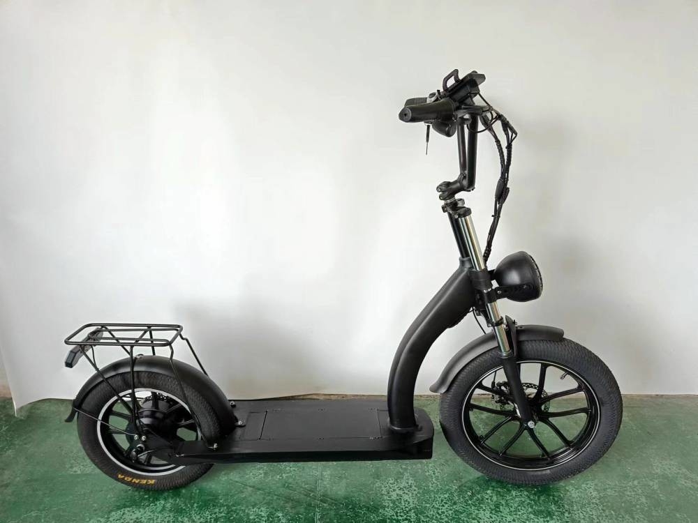 Richbit H200 Fat Electric Scooter Cycle 1000w 48v 16ah 20x3.0 Inch