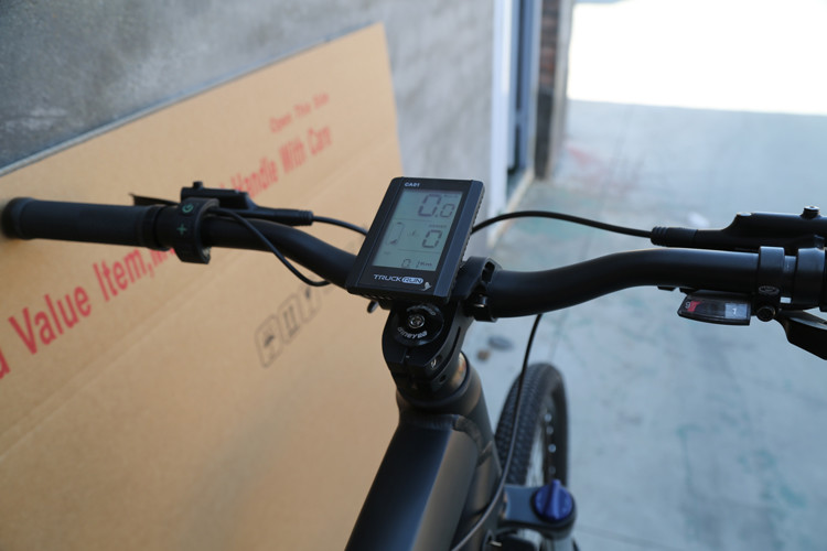 250w Mid Drive Mountain Electric Bikes Mens Mtb Ebike 29