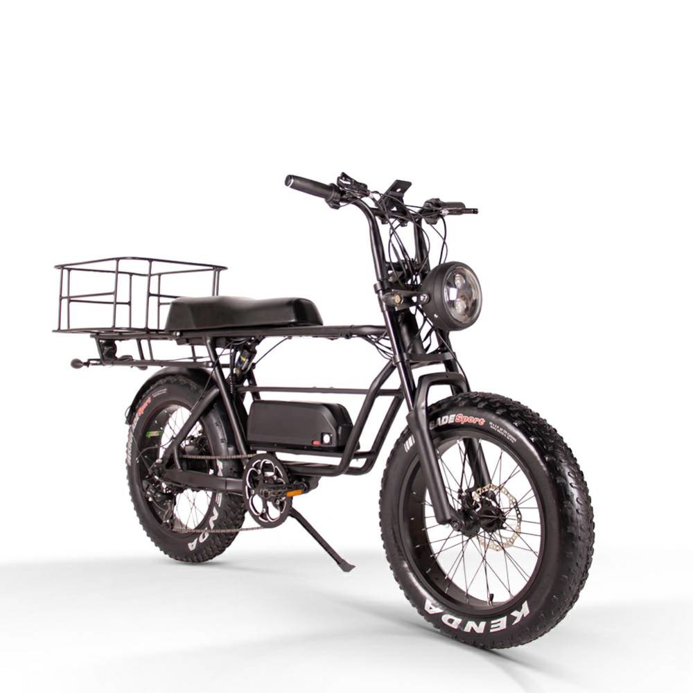 20 Inch Folding Fat Tire Electric Bike 1000w 750 Watt 500w 9.6Ah 40kmh Two Batteries