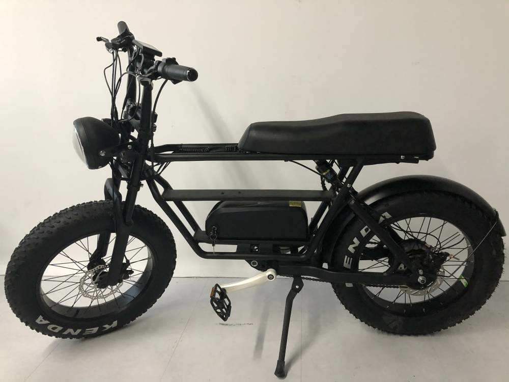 500w 9.6Ah 40kmh 20 Inch Fat Tire Ebike Bicycle Cargo Double Batteries Folding